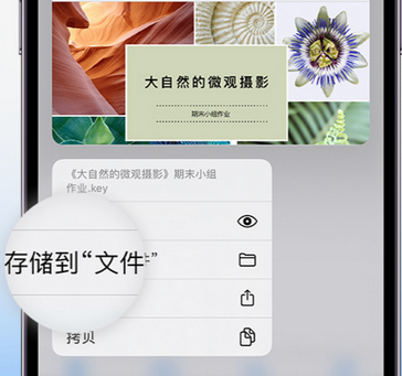 天涯apple维修中心分享iPhone文件应用中存储和找到下载文件