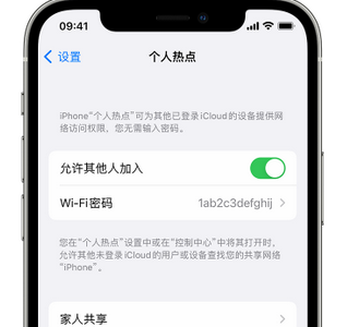 天涯apple服务站点分享iPhone上个人热点丢失了怎么办 