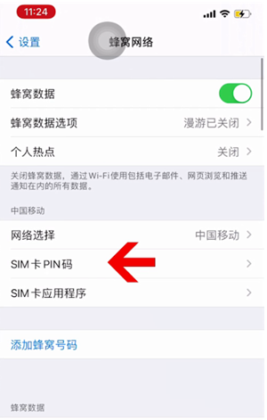 天涯苹果14维修网分享如何给iPhone14的SIM卡设置密码 