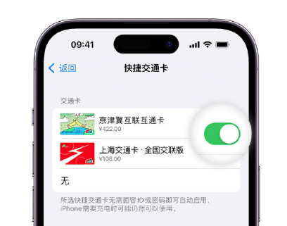 天涯apple维修点分享iPhone上更换Apple Pay快捷交通卡手绘卡面 