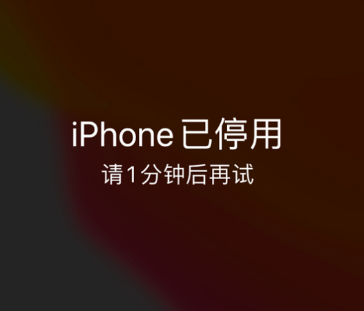 天涯苹果手机维修分享:iPhone 显示“不可用”或“已停用”怎么办？还能保留数据吗？ 