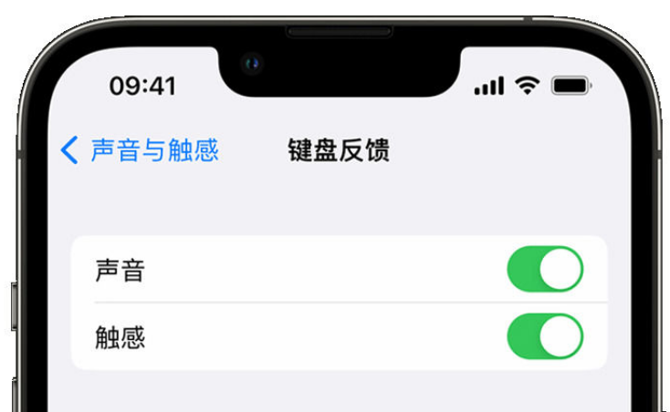 天涯苹果手机维修分享iPhone 14触感键盘使用方法 