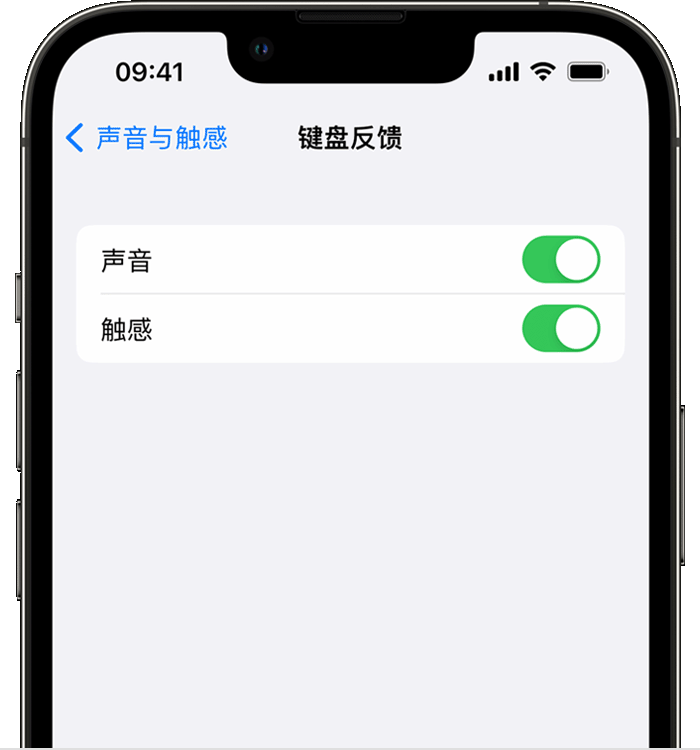 天涯苹果14维修店分享如何在 iPhone 14 机型中使用触感键盘 