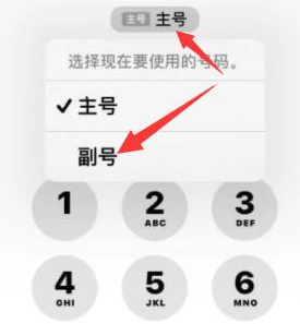 天涯苹果14维修店分享iPhone 14 Pro Max使用副卡打电话的方法 