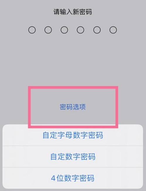 天涯苹果14维修分享iPhone 14plus设置密码的方法 