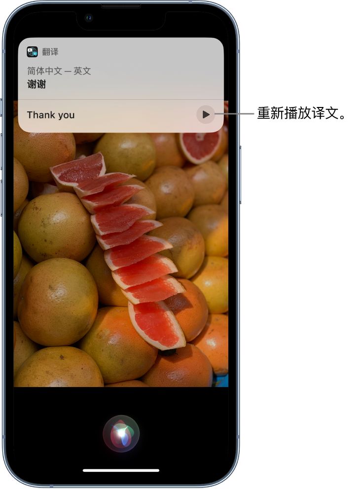 天涯苹果14维修分享 iPhone 14 机型中使用 Siri：了解 Siri 能帮你做什么 