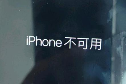 天涯苹果服务网点分享锁屏界面显示“iPhone 不可用”如何解决 