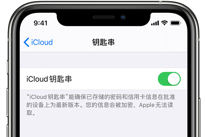 天涯苹果手机维修分享在 iPhone 上开启 iCloud 钥匙串之后会储存哪些信息 