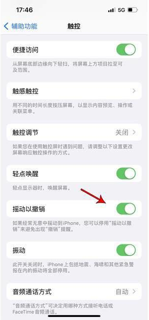 天涯苹果手机维修分享iPhone手机如何设置摇一摇删除文字 