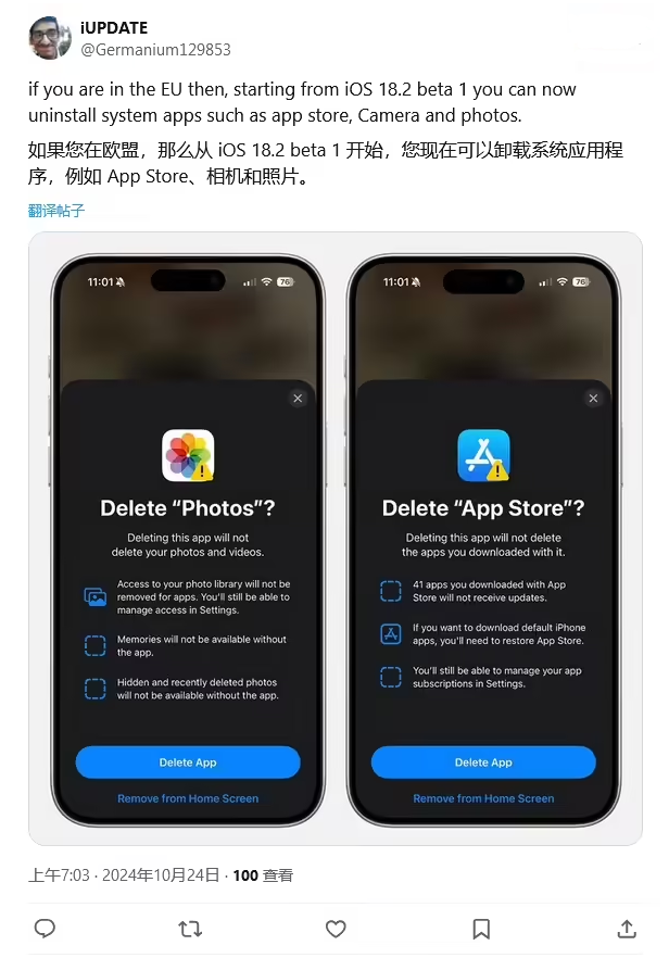 天涯苹果手机维修分享iOS 18.2 支持删除 App Store 应用商店 