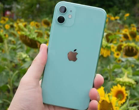 天涯苹果维修点分享iPhone 11锁屏密码认知与使用科普 
